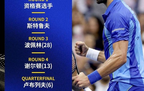 NG28- 德约科维奇最新消息 